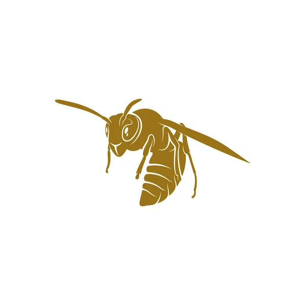 Wasp Vektor Illustration Wasp Logotyp Design Koncept Mall Kreativ Symbol — Stock vektor