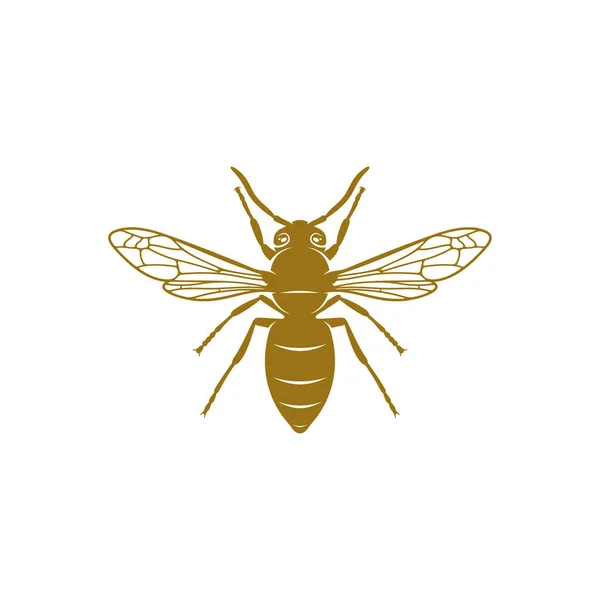 Illustration Vectorielle Guêpe Modèle Conception Logo Wasp Symbole Créateur — Image vectorielle