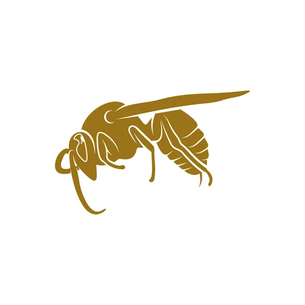 Wasp Vektor Illustration Wasp Logotyp Design Koncept Mall Kreativ Symbol — Stock vektor