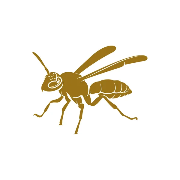 Illustration Vectorielle Guêpe Modèle Conception Logo Wasp Symbole Créateur — Image vectorielle
