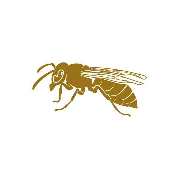 Wasp Vektor Illustration Wasp Logotyp Design Koncept Mall Kreativ Symbol — Stock vektor