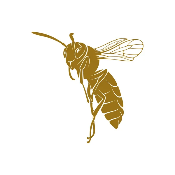 Wasp Vektor Illustration Wasp Logotyp Design Koncept Mall Kreativ Symbol — Stock vektor