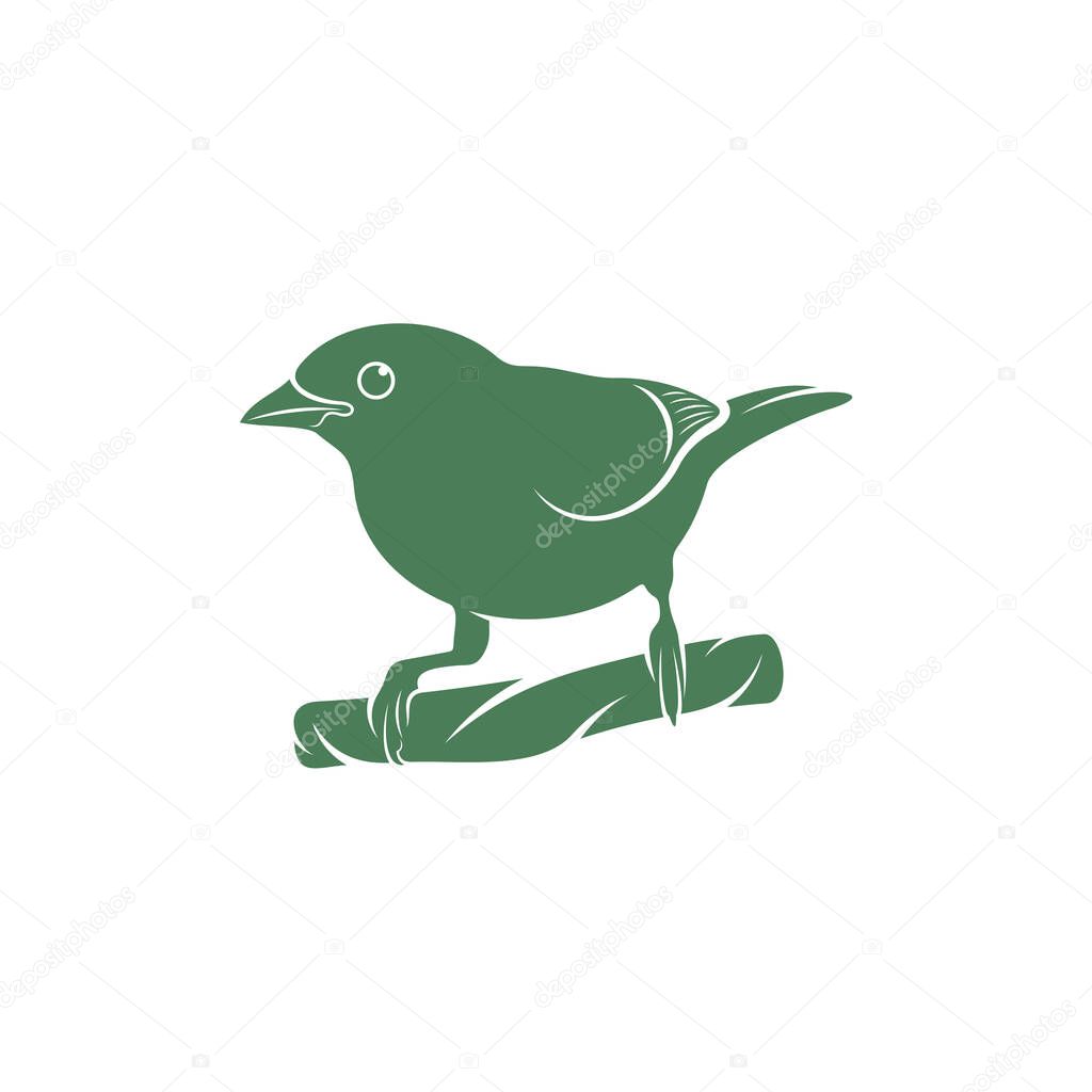 Saira Amarela bird vector illustration. Saira Amarela bird logo design concept template. Creative symbol