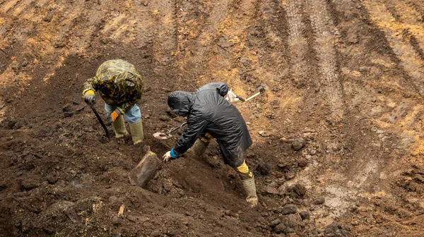 Metal dedektörlü bir işçi arkeolojik alanda değerli eşyalar arıyor.
