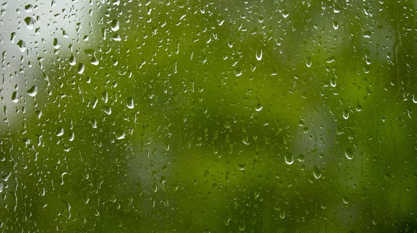 Gotas Chuva Uma Janela Vidro Contra Fundo Folhagem Verde Fundos — Fotografia de Stock