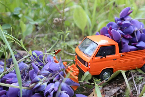 Carro de brinquedo laranja com flores roxas no chão — Fotografia de Stock