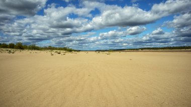 Kumlu sahil, güneşli bir günde kümülüs bulutlarının arka planına karşı.,