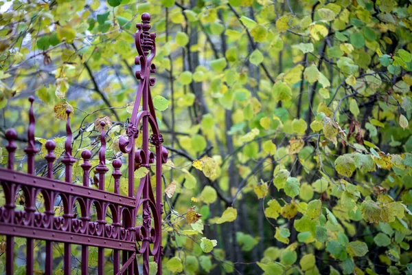 Бургундские Кованые Железные Ворота Выходят Сад — стоковое фото