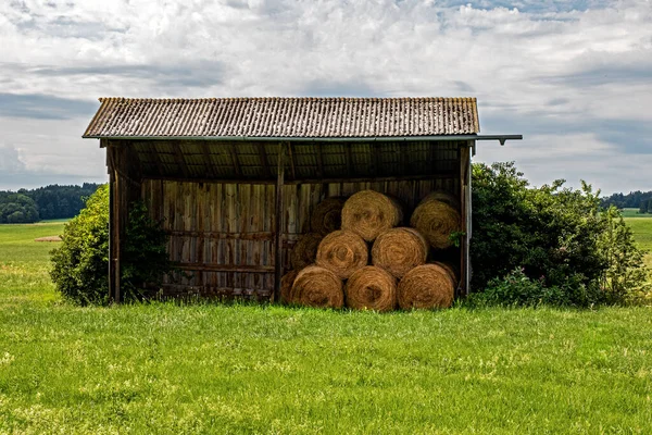 Typical Wooden Hut Bavarian Fields Protect Feed Animals — Stock Photo, Image