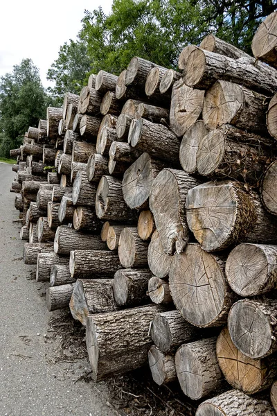 Stacks of wood at the edge of the road are suitable for the furniture industry or for sale as firewood
