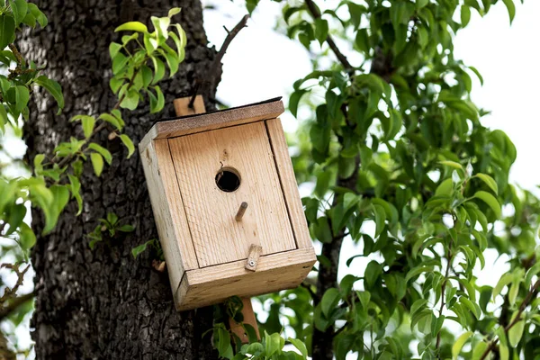 Nesting Box Made Unpainted Wood Tree Horizontal Shot Stock Picture