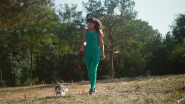 산발적 청록색 작업복을 아름다운 여성이 가죽끈달린 고양이와 다닌다 귀여운 고양이는 — 비디오