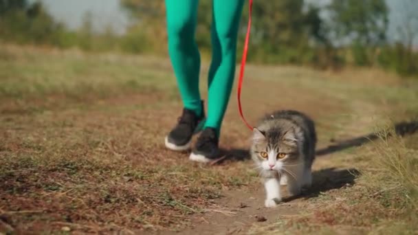 Vacker Atletisk Kvinna Sportig Turkos Overaller Promenader Med Sin Fluffiga — Stockvideo