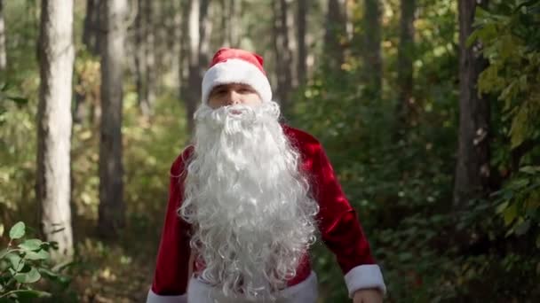 Seorang pria serius mengenakan kostum Santa Claus berjalan epik melalui hutan. Waktunya Natal. Tahun Baru. Gerakan lambat — Stok Video