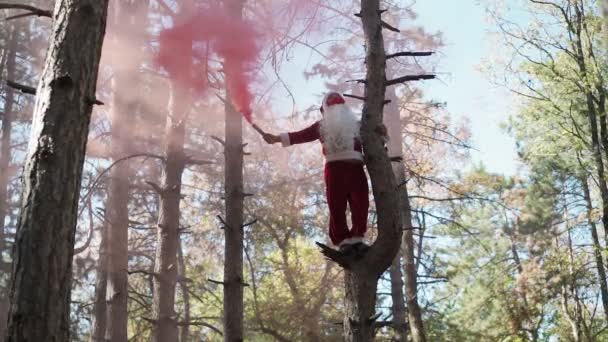 Homem engraçado vestido em terno Papai Noel com máscara médica em seu rosto subiu árvore na floresta e fica com fumaça colorida Natal e coronavírus Covid-19 Quarentena durante as férias. Movimento lento — Vídeo de Stock