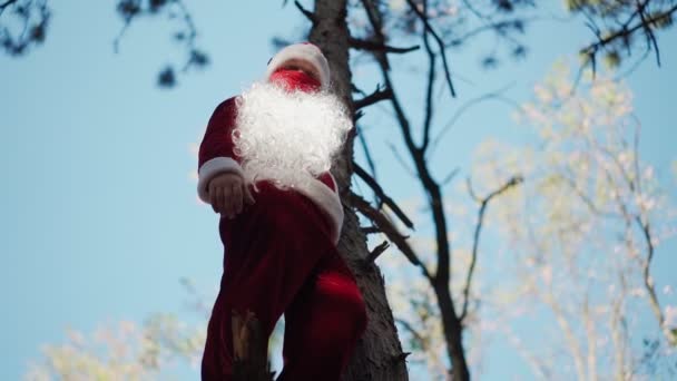 Funny man dressed in Santa Claus suit with medical mask on his face climbed tree in forest and stands. Christmas and coronavirus Covid-19. Quarantine during the holidays. Slow motion — Stock Video