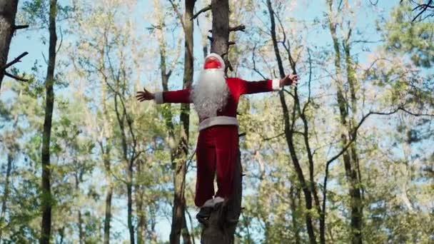 Un hombre divertido vestido con traje de Santa Claus con máscara médica en su cara trepó al árbol en el bosque y se para levantando las manos. Navidad y coronavirus Covid-19. Cuarentena durante las vacaciones. Movimiento lento — Vídeos de Stock