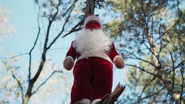 Homem engraçado vestido em terno de Papai Noel com máscara médica em seu rosto subiu árvore na floresta e fica. Natal e coronavírus Covid-19. Quarentena durante as férias. Movimento lento — Vídeo de Stock