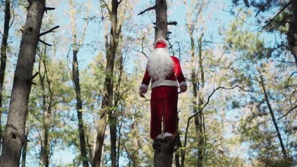 Un hombre divertido vestido con traje de Santa Claus con máscara médica en su cara trepó al árbol en el bosque y se para. Navidad y coronavirus Covid-19. Cuarentena durante las vacaciones. Movimiento lento — Vídeo de stock