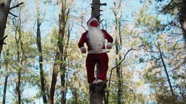 Hombre feliz vestido con traje de Papá Noel con máscara médica en su cara trepó árbol en el bosque y baile divertido. Navidad y coronavirus Covid-19. Cuarentena durante las vacaciones. Movimiento lento — Vídeos de Stock
