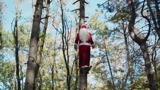 Grappige man gekleed in Santa Claus pak met medisch masker op zijn gezicht klom boom in bos en staat. Kerst en coronavirus Covid-19. Quarantaine tijdens de feestdagen. Langzame beweging — Stockvideo
