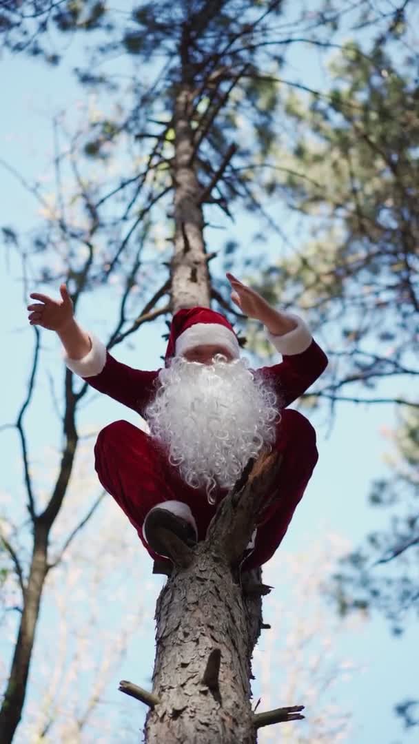 วิดีโอแนวตั้ง ชายที่มีความสุข แต่งตัวในชุดซานตาคลอสปีนต้นไม้ในป่าและเต้นตลก คริสต์มาส การเคลื่อนไหวช้า — วีดีโอสต็อก