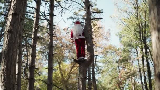 サンタクロースのスーツを着た面白い男が顔に医療マスクで森の中の木に登り立っている。クリスマスとコロナウイルスCovid-19 。休日の隔離。スローモーション — ストック動画