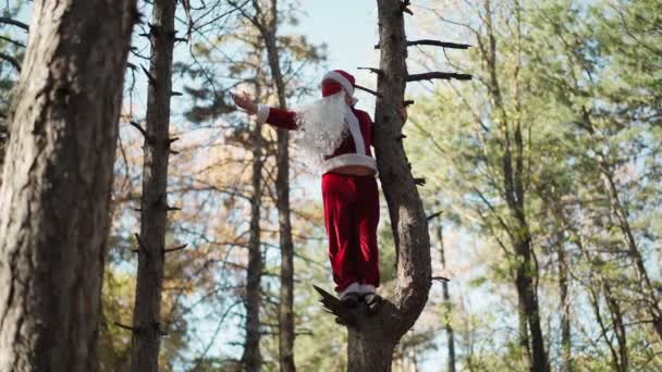 Homem engraçado vestido em terno de Papai Noel com máscara médica em seu rosto subiu árvore na floresta e fica. Natal e coronavírus Covid-19. Quarentena durante as férias. Movimento lento — Vídeo de Stock