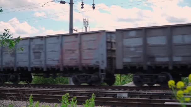 Rostov Don Ryssland Maj 2020 Snabbgående Tåg Med Godsvagnar — Stockvideo