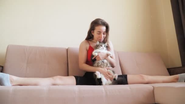 Young beautiful girl sitting in the splits on the bed and plays with the cat. Pastime home during the quarantine. — Stock Footage Young Beautiful Girl Sitting Splits Bed Plays Cat Pastime Home Stock Footage