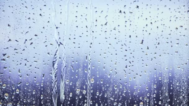 La textura de la ventana húmeda con gotas de lluvia. El agua fluye en el vaso. De cerca.. — Vídeos de Stock