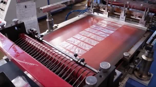 Productie en Geautomatiseerde Technologie Concept. Productie van plastic zakken — Stockvideo