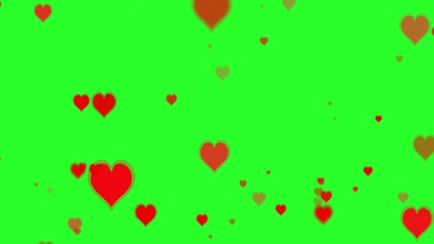 День Святого Валентина. Много прекрасных сердец. Анимирование красных сердец на зеленом экране — стоковое видео