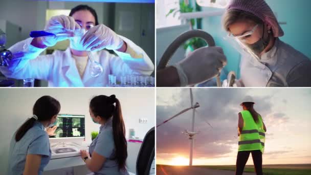Collage female workers in different professions. Women work in different fields — Stock Video