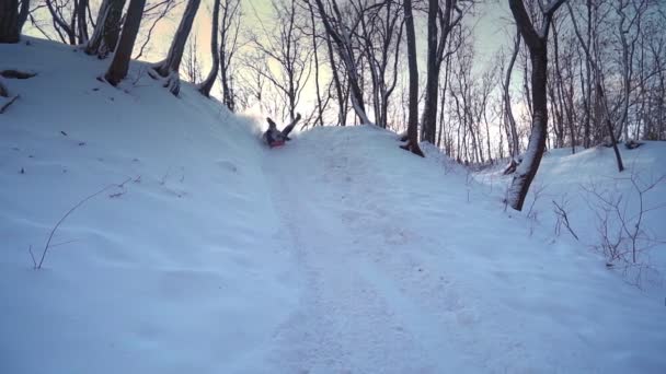 快乐男人骑雪橇从雪山。男人在冬天的森林里玩得很开心. — 图库视频影像