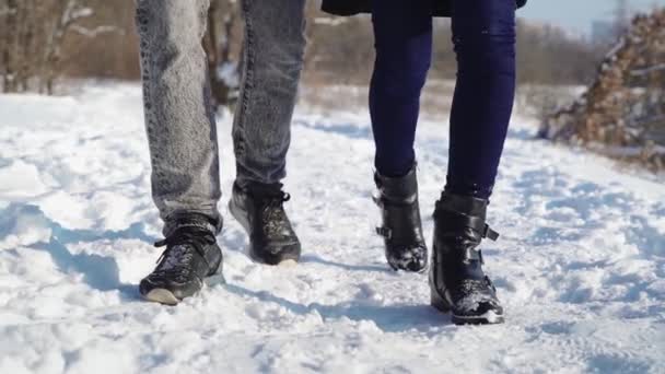 Feliz paseo en pareja en el bosque de invierno. Hombre y mujer caminando juguetonamente por el camino de nieve — Vídeos de Stock