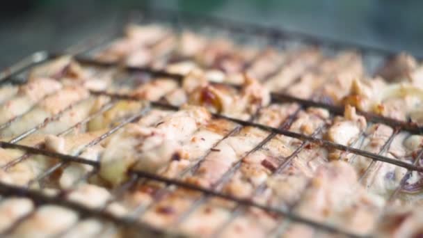 Processo di cottura barbecue all'aperto. Campeggio in estate. Cucinare carne sul fuoco — Video Stock