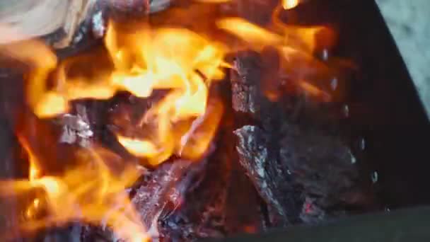 Дрова горят в гриле для барбекю. Летний отдых. Уголь для приготовления мяса — стоковое видео