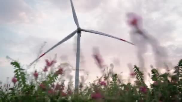 Em um campo bonito com flores cor-de-rosa moinhos de vento de trabalho. Energias renováveis — Vídeo de Stock