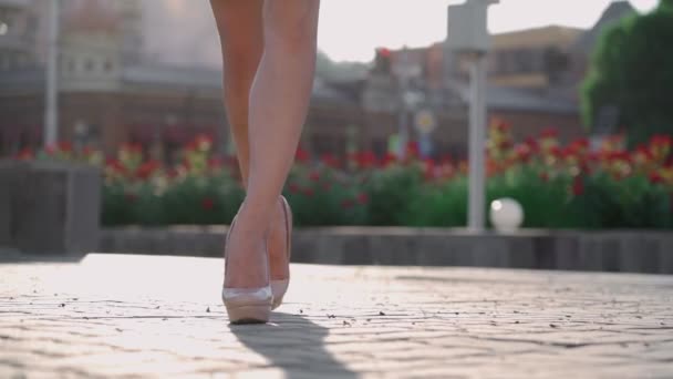 Сексуальна успішна бізнес-леді, що йде в міському парку. Красиві жіночі ноги — стокове відео