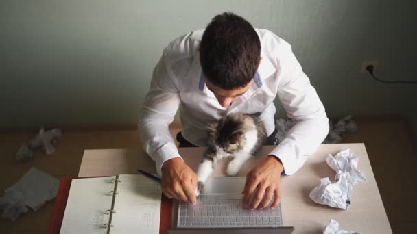Ο Man Remotely εργάζεται στο Laptop at Home με μια γάτα στην αγκαλιά του. Ιστορικό του χάους — Αρχείο Βίντεο