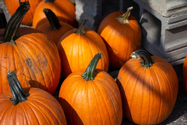 Vista Cerca Abstracta Calabazas Anaranjadas Gran Tamaño Recién Cosechadas Jack —  Fotos de Stock