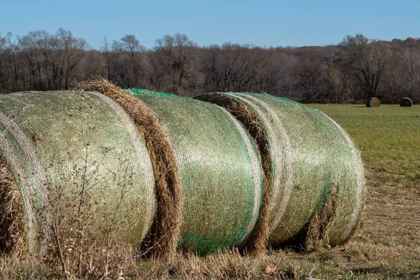 Close Landscape View Large Harvested Hay Bales Farm Field Sunny — Stock Photo, Image