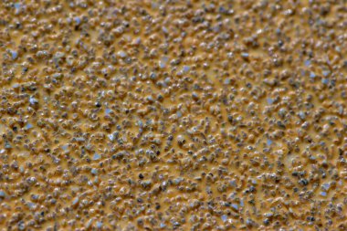 Kum kağıdı kaya dokusunun tam çerçeve makro soyut arkaplanı, kopyalama alanı ile