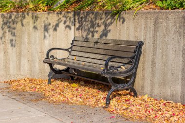 Güneşli bir günde modern beton duvar boyunca uzanan ahşap bir park bankının altında düşen sonbahar yapraklarının olduğu yakın bir manzara.