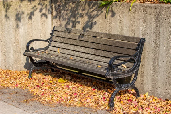 Close Uitzicht Een Houten Park Bank Langs Een Moderne Betonnen — Stockfoto