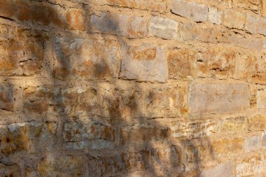Antik bir altın kahverengi taş duvarın tam çerçeve arkaplanı pürüzlü yüzeyi ve filtrelenmiş güneş ışığına sahip ağaç gölgeleri (açı görünümü))