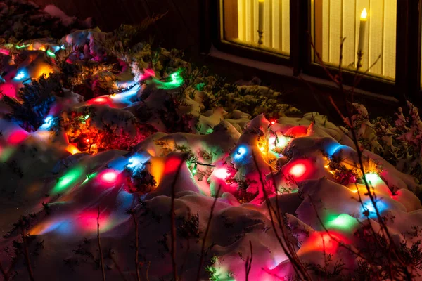 Ardıç Çalılarının Üzerindeki Renkli Noel Işıklarının Soyut Dokusunu Kapat Bir — Stok fotoğraf