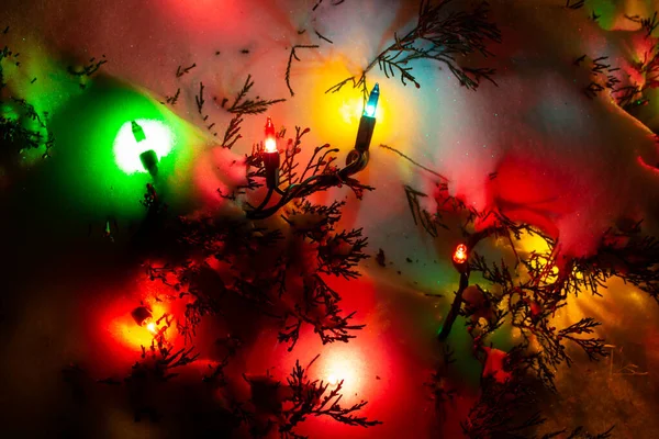Közelkép Elvont Textúra Háttér Színes Karácsonyi Ünnepi Fények Boróka Bokrok — Stock Fotó
