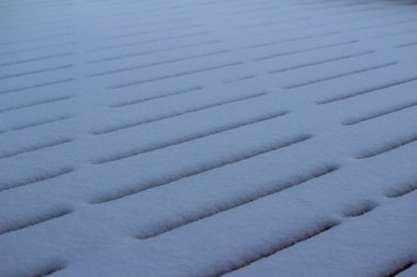 Kışın karla kaplı sedir ağacının zemininin tam çerçeve soyut dokusu